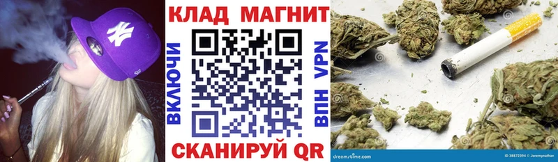 Продажа наркотиков Пустошка Codein  Кокаин  МЕФ  Бошки Шишки  Гашиш  A-PVP 