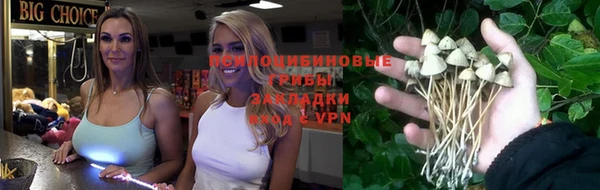 крисы Аркадак