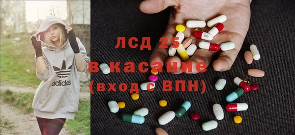 крисы Аркадак