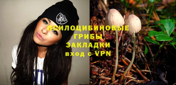 крисы Аркадак