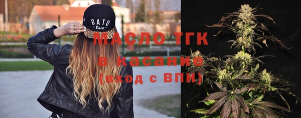 крисы Аркадак