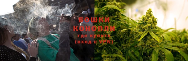 крисы Аркадак